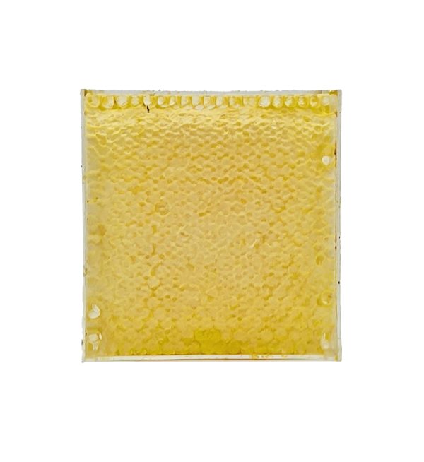 Whole Honey Comb (270g)